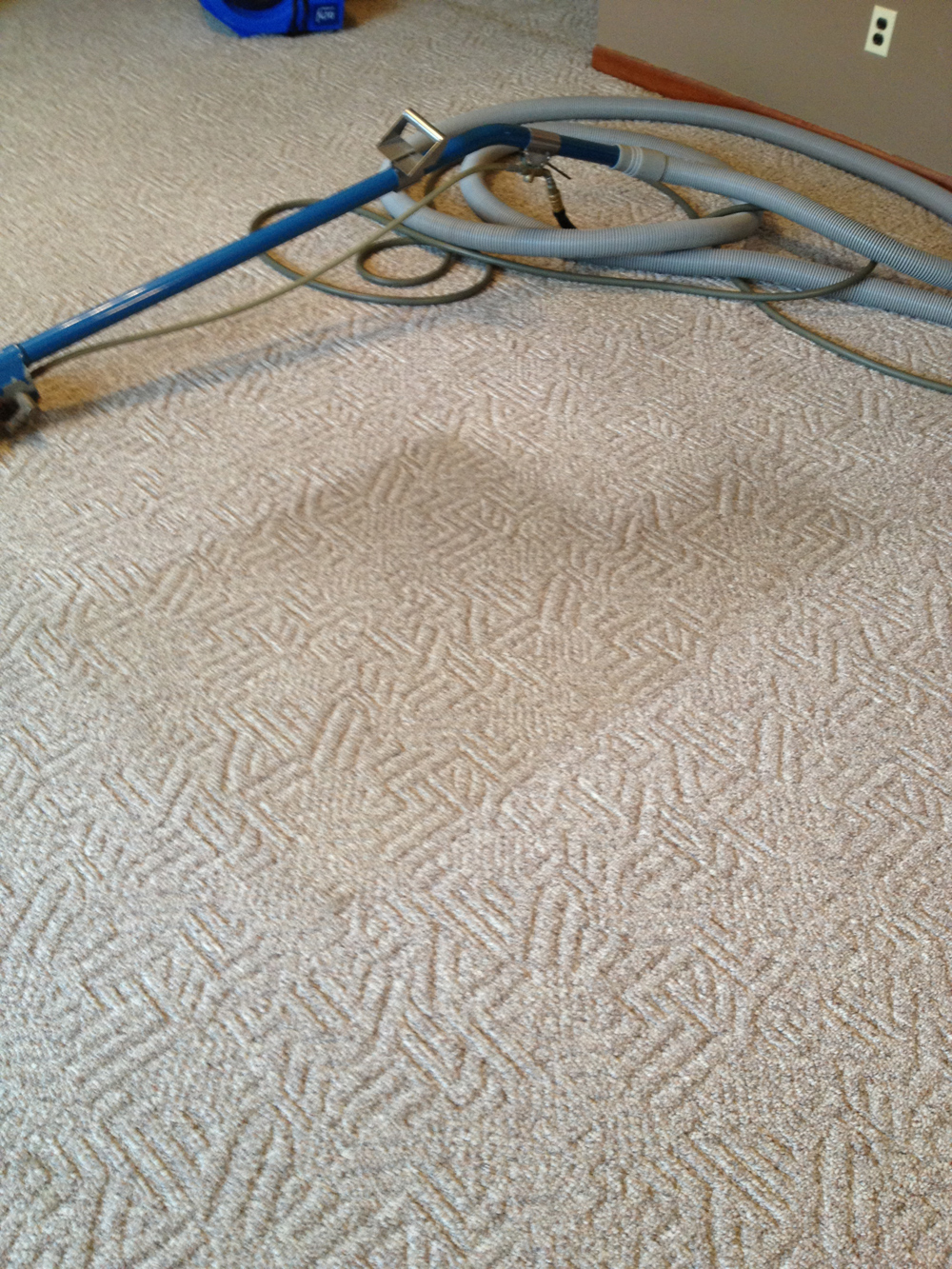 Carpet Cleaning by Ashford Carpet Clean