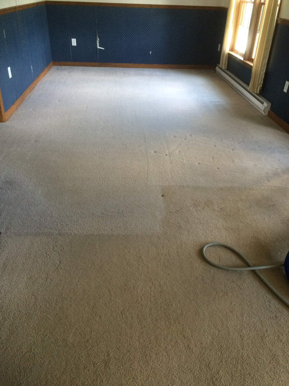 Carpet Cleaning by Ashford Carpet Clean