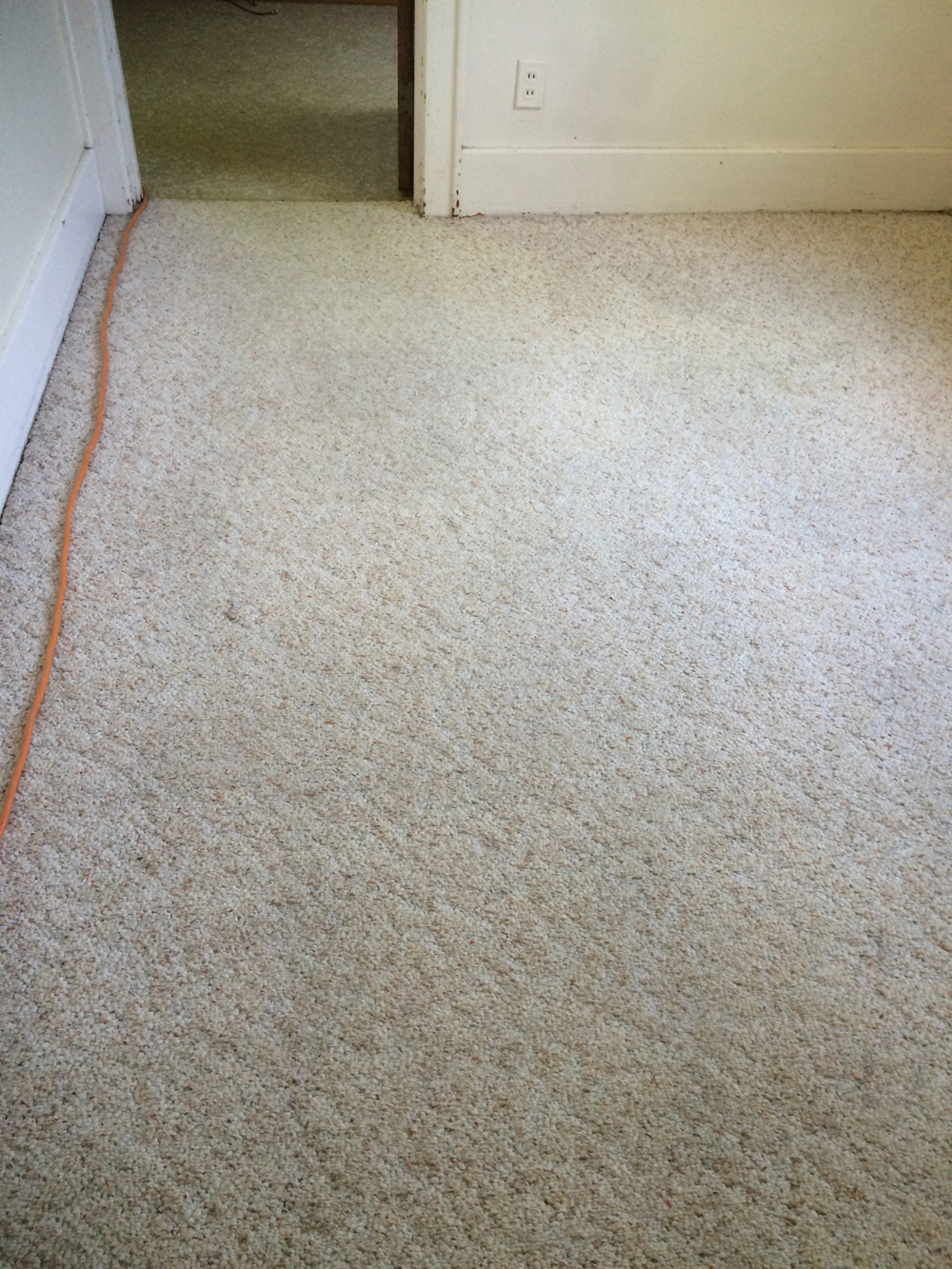 Carpet Cleaning - After