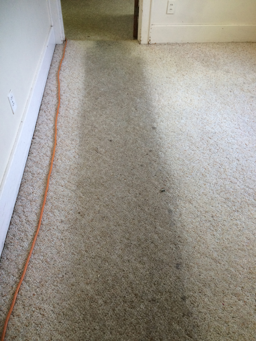 Carpet Cleaning - Before